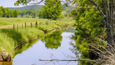 Tennessee Wildlife Management Areas