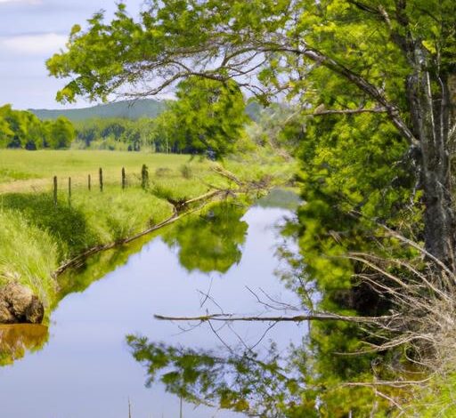 Tennessee Wildlife Management Areas